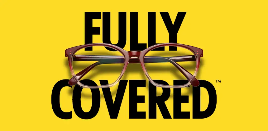 HUNDREDS OF GLASSES. FULLY COVERED.